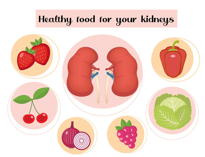 Foods to Boost Your Kidney Health Fast